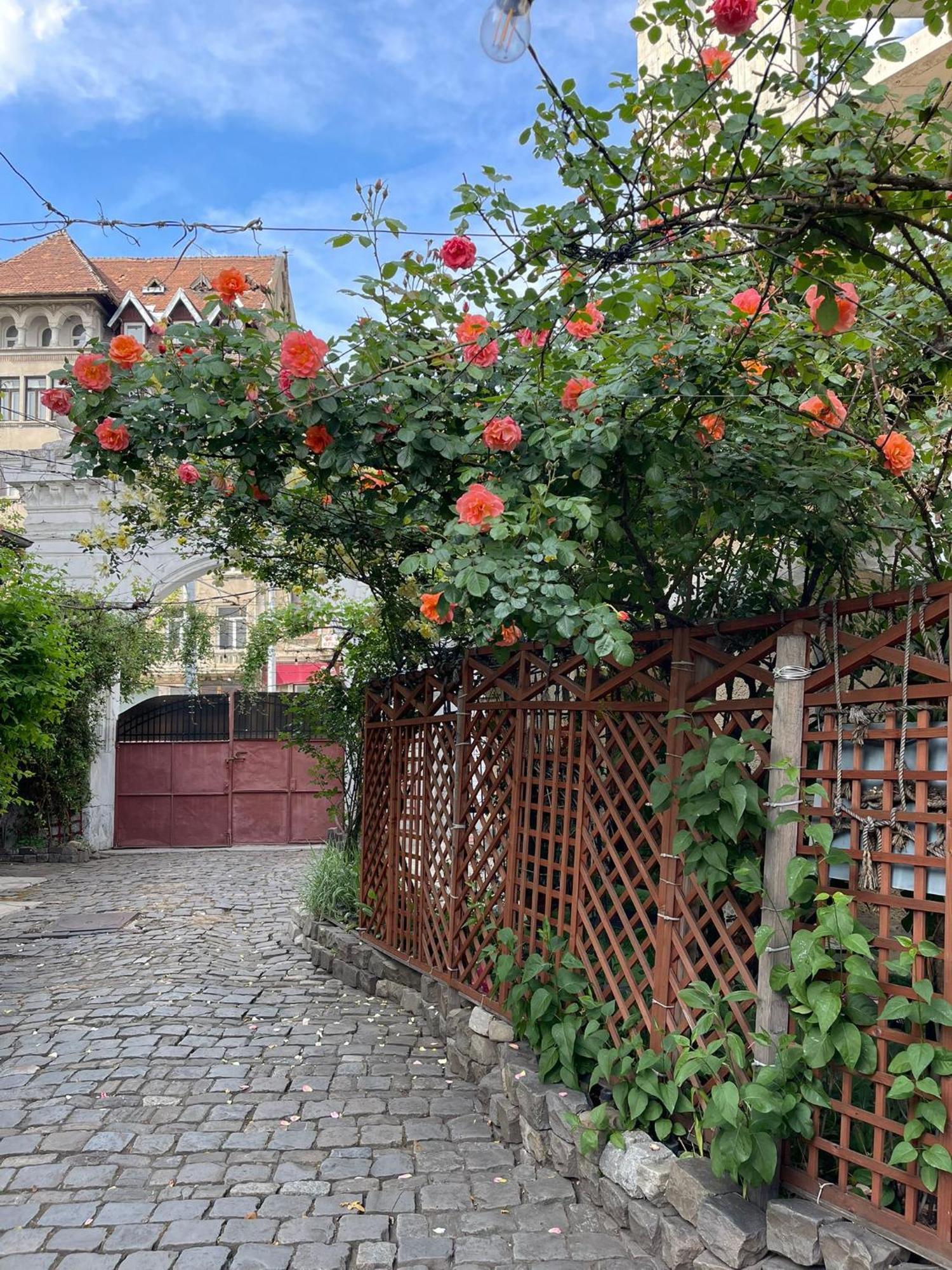 City Garden Apartments Bukarest Kültér fotó